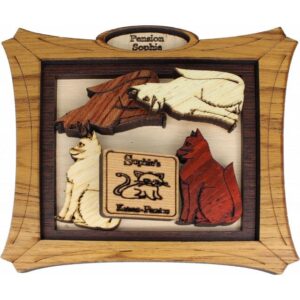Katzen Pension